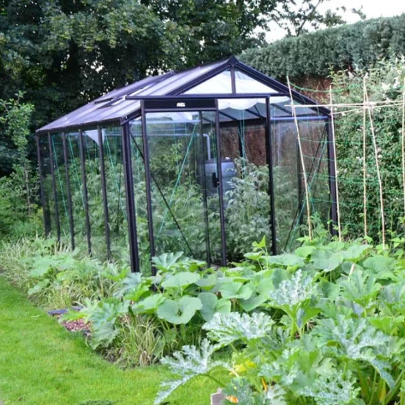 ACD Premium Straight Wall Aluminium Greenhouse Self-Supporting Foundation5