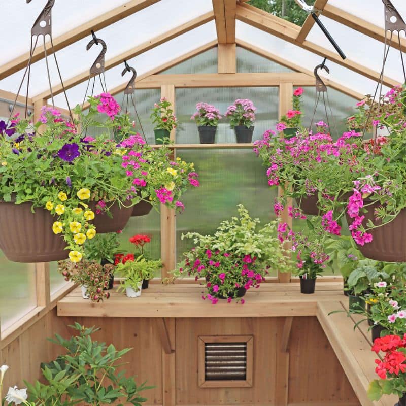 Meridian Greenhouse 6.7ft x 7.8ft | Premium Cedar Wood with Auto Roof Vent