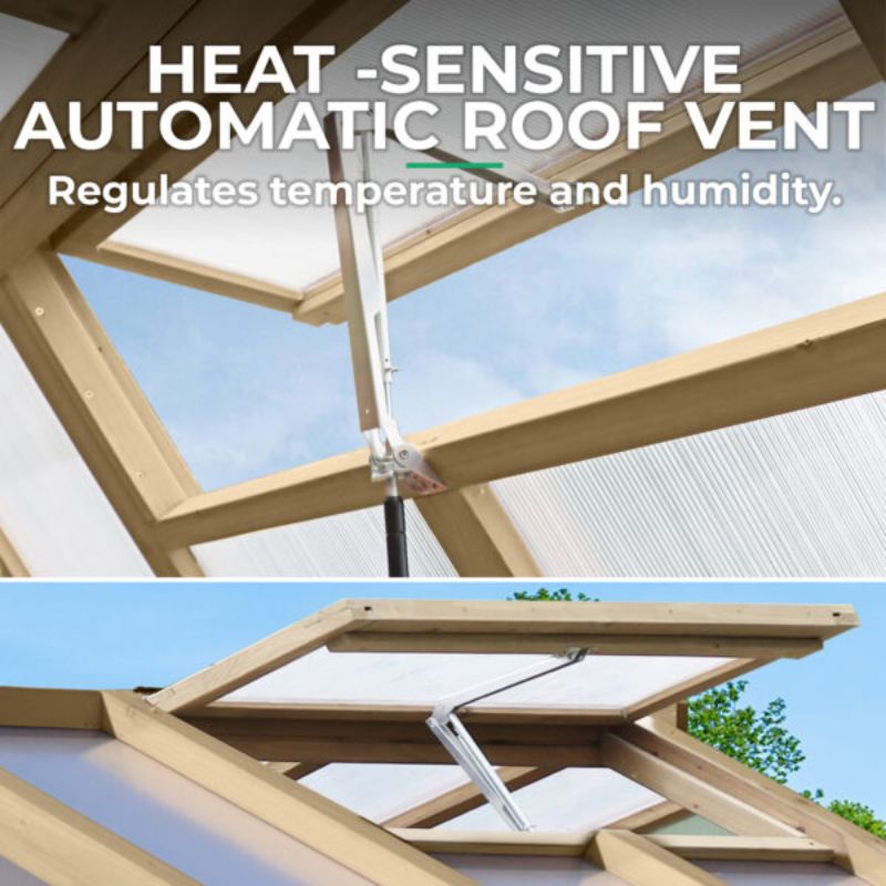 Meridian Greenhouse 6.7ft x 7.8ft | Premium Cedar Wood with Auto Roof Vent