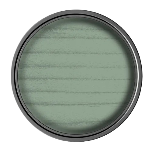 Round green filter with a black rim on a white background
